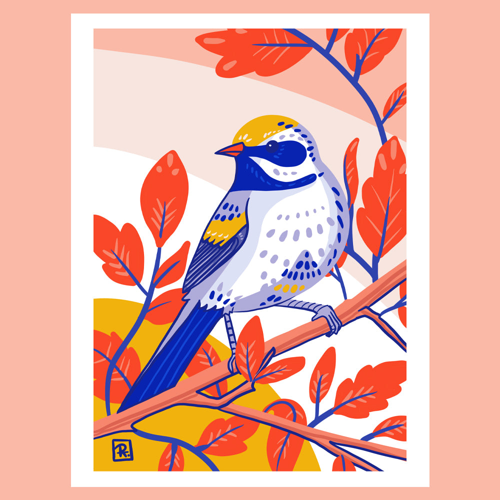 L'oiseau seul
