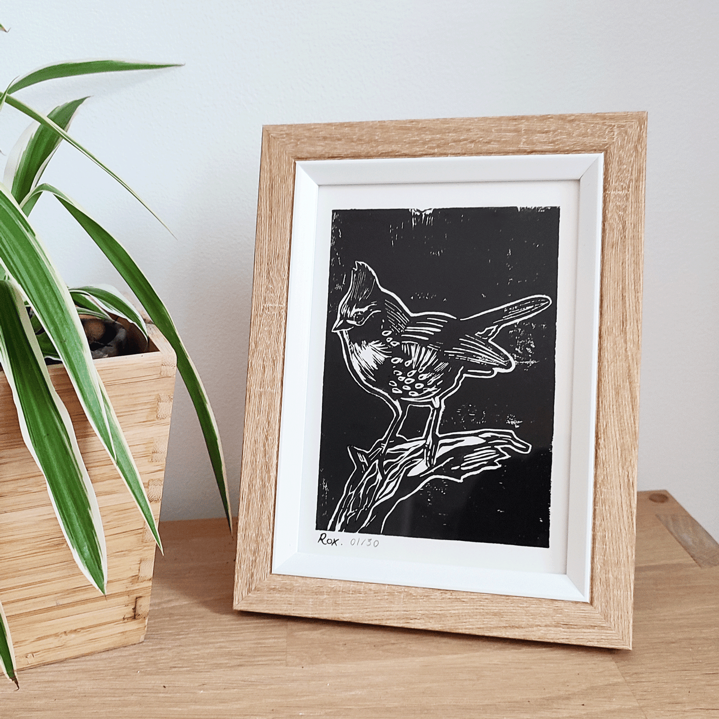 Linogravure "Mésange d'Amérique"