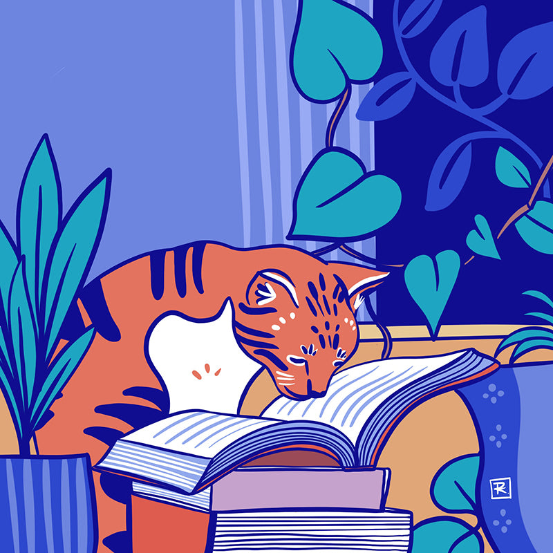 Kyoto, Le Chat Pitre